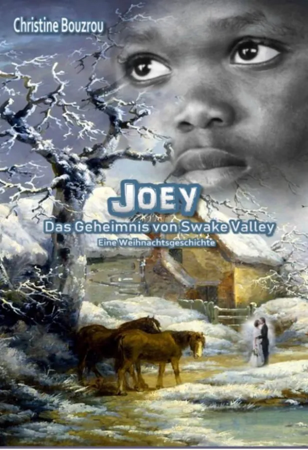 Joey-Das Geheimnis von Swake Valley