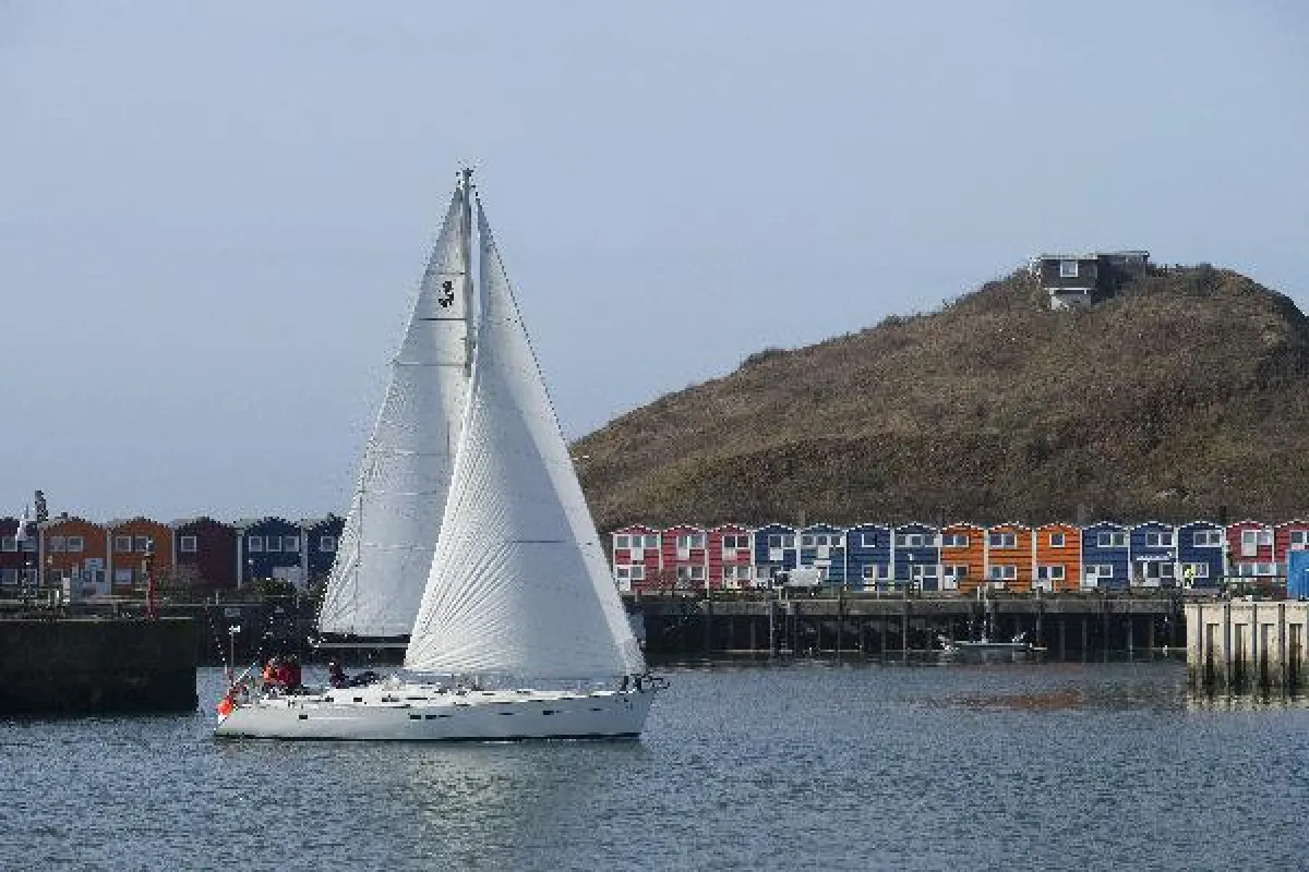 Unter Segeln zum Kegelrobben-Nachwuchs auf Helgoland