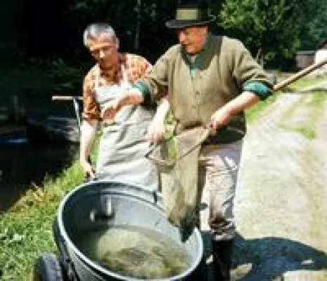 Bild: Endlich wieder im TV: „Der Forellenhof“