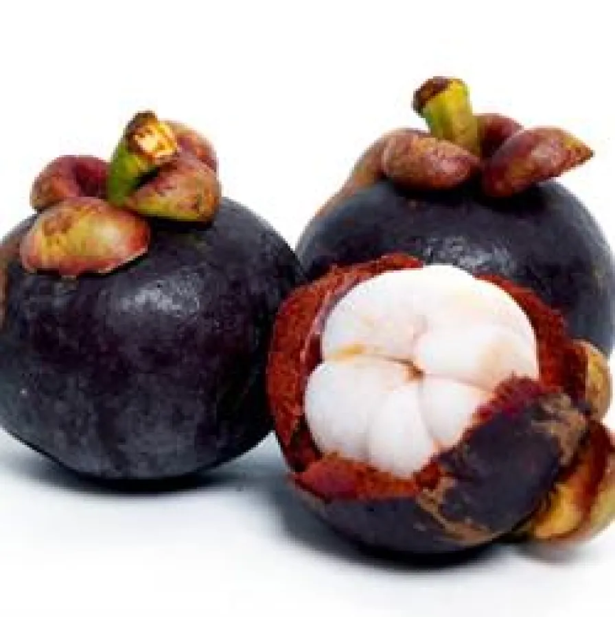 Mangostan-Frucht - Magostane - Mangosteen