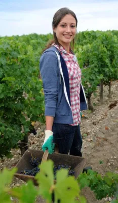 Bild: Wie vegan ist unser Wein?