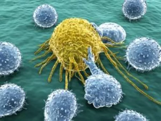Bild: Immuntherapie bei einer Krebsdiagnose– Zukunft oder Gegenwart?