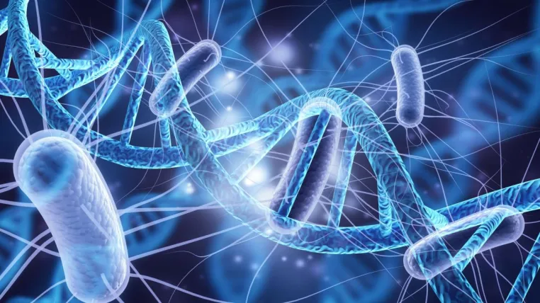 Bild: Das eigene Mikrobiom kennen  - warum individuelle Darmdiagnostik heute entscheidend für die Gesundheit ist