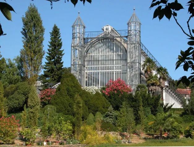Sanierungs-Aus fürs Mittelmeerhaus: Botanischer Garten Berlin hofft auf Rettung des einzigartigen Gewächshauses Bild: Sanierungs-Aus fürs Mittelmeerhaus: Botanischer Garten Berlin hofft auf Rettung des einzigartigen Gewächshauses