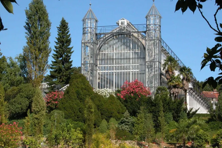 Bild: Sanierungs-Aus fürs Mittelmeerhaus: Botanischer Garten Berlin hofft auf Rettung des einzigartigen Gewächshauses    
