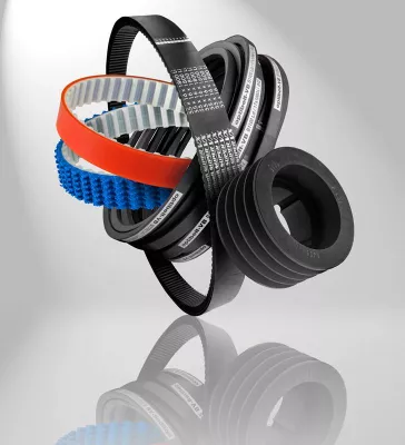 Bild: Fotografie und Werbung aus einer Hand