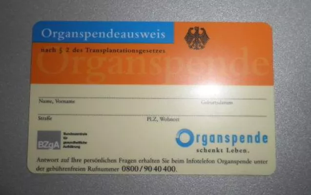 Bild: Eckige Eier können Leben retten - ungewöhnliche Osteraktion der service94 GbmH