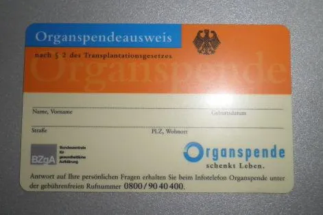 Eckige Eier können Leben retten - ungewöhnliche Osteraktion der service94 GbmH Bild: Eckige Eier können Leben retten - ungewöhnliche Osteraktion der service94 GbmH