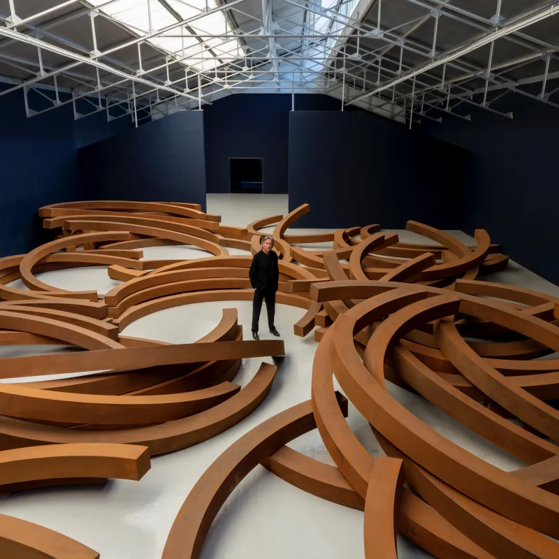 AGAGP Paris, Foto Jerome Cavaliere, Bernar Venet (© Bernar Venet)