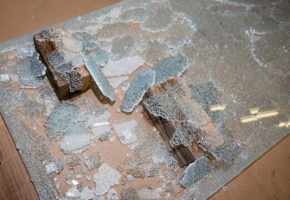 Im Dschungel der Duschkabinen Bild: Im Dschungel der Duschkabinen