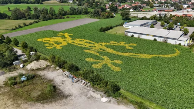 Bild: Die Chancen der Feldwerbung mit Blumen und die konsequente Vision des Startups GEOXIP