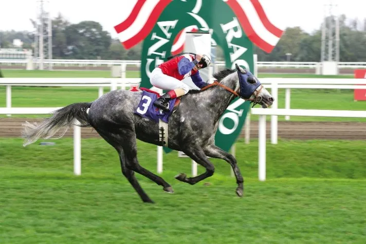 Bild: Magna Racino – Internationaler Galopp und Brubaker Pokal bei den Trabern