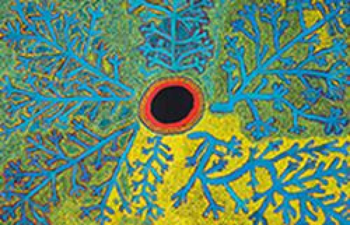 © Simon Hogan, Lingka, 2015, Spinifex Arts Project