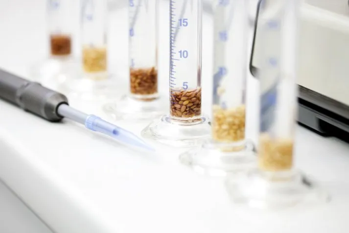 Bild: Erneute IFS-Zertifizierung auf höherem Niveau erreicht