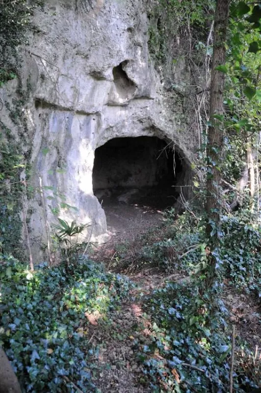 Tana del Lupo