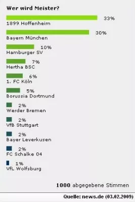 Bild: Fans stimmen ab - Hoffenheim wird Deutscher Fußballmeister