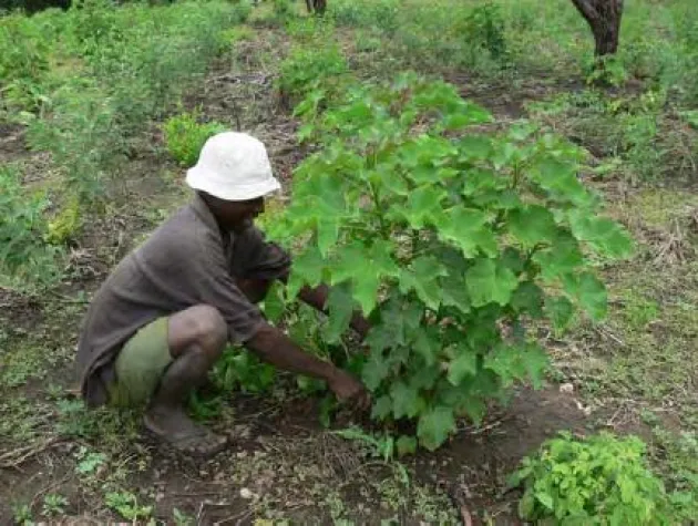 Bild: amiando veröffentlicht Green Ticketing auf dem SXSW Festival in Austin