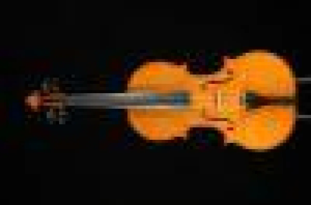 Preisträger-Instrument  4/4 Violine