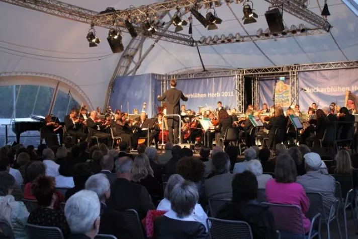 Bild: GEMCO betreut das traditionelle Galakonzert in Horb