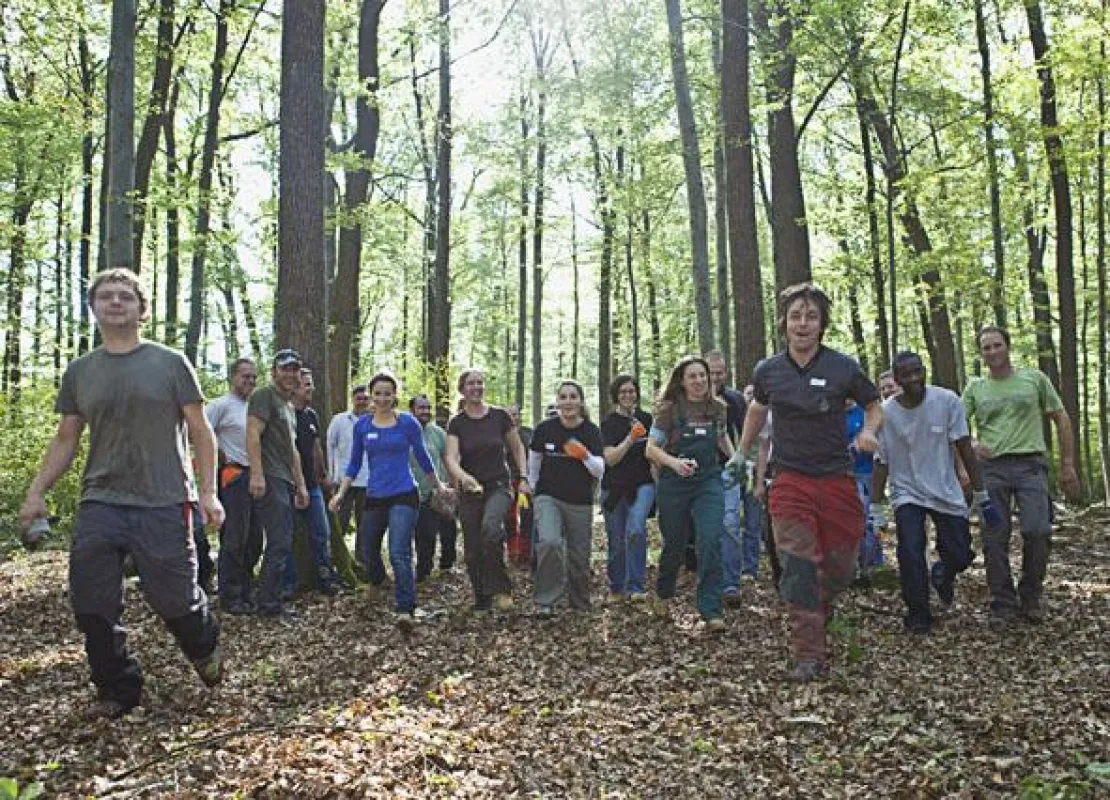 Timberland Mitarbeiter und Freiwillige am soz. Aktionstag Sept 2009