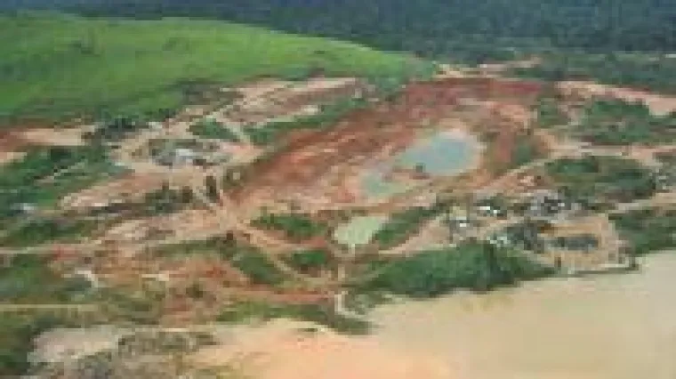 Bild: Gute Goldgesellschaften trotzen auch Corona