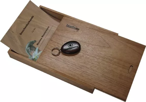 Das nachhaltige Geschenk zu Weihnachten: der GeschenkBaum Bild: Das nachhaltige Geschenk zu Weihnachten: der GeschenkBaum