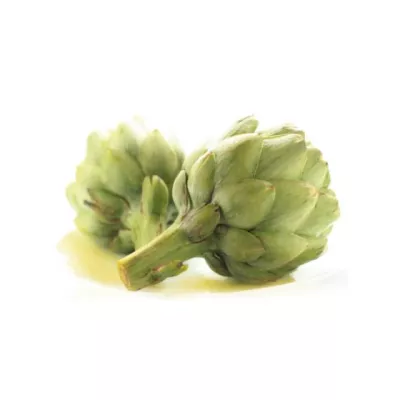 Bild: Wenn die Martinigans im Magen schnattert: Artischocke bei Völlegefühl und Blähungen