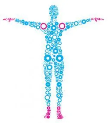 6. Berliner Arthrose-Informationstag für Patienten Bild: 6. Berliner Arthrose-Informationstag für Patienten