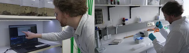 Bild: Warum kein Individuum dem anderen gleicht