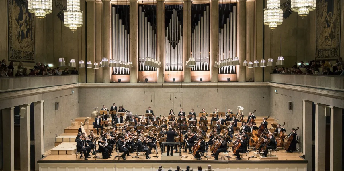 Das Bruckner Akademie Orchester im Herkulessaal der Münchner Residenz (© Christian Flemming)