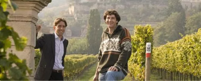 Bild: Vollmundige Weine von Müller-Catoir neu bei BELVINI.DE