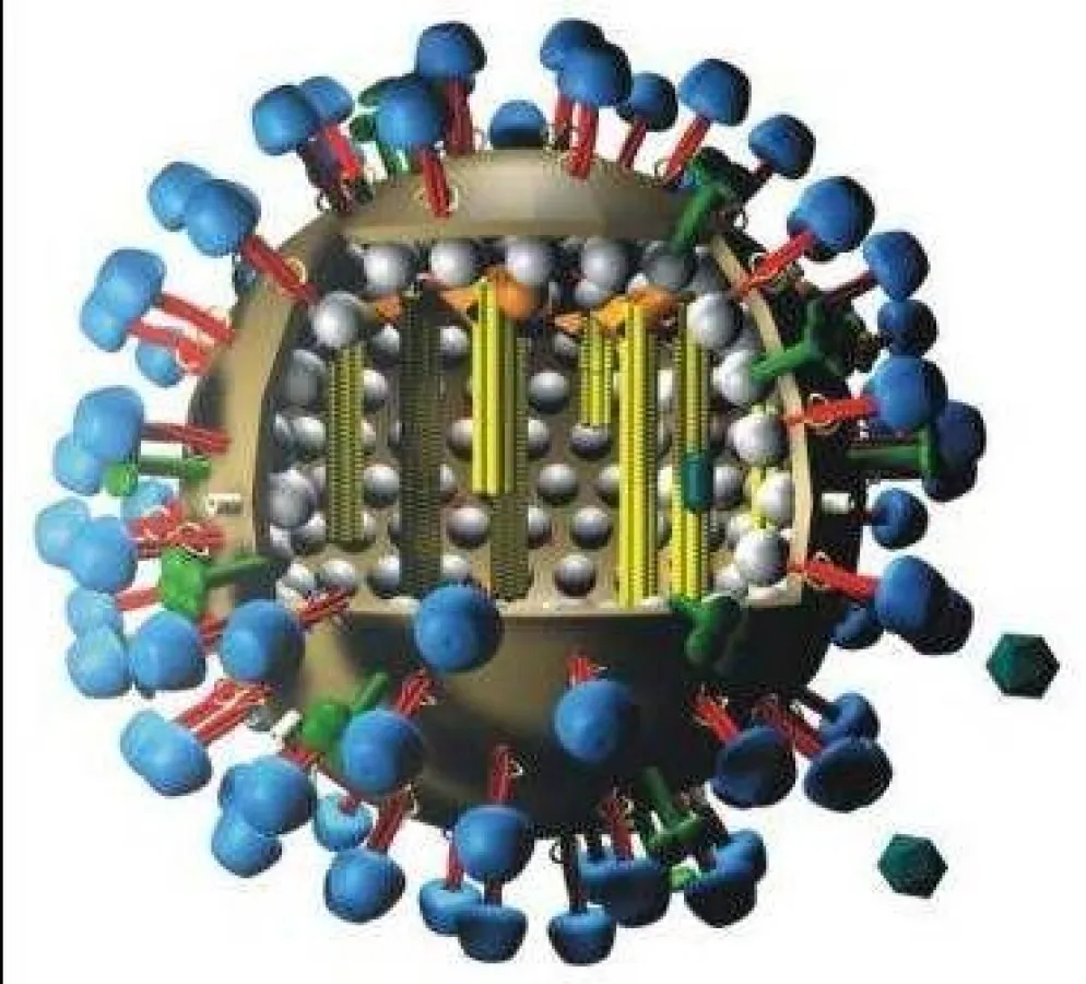Influenza-Virus
