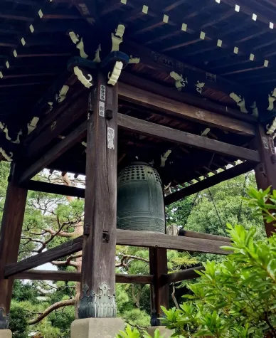 Bild: Ikigai: Die japanische Kunst der Lebensfreude verstehen und leben