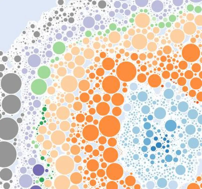 Das IKS macht sichtbar: Das Internet besteht aus mehr als 42.000 einzelnen, eigenständigen Netzen.