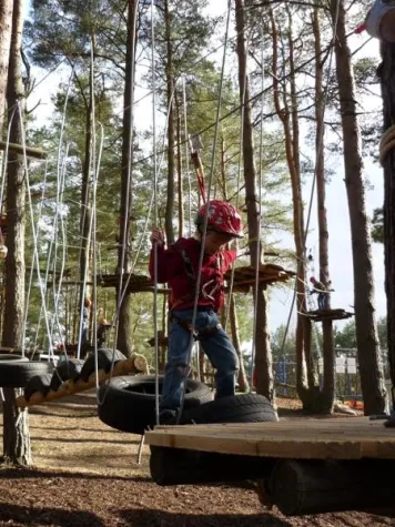 Bild: Waldseilgarten Havelberge eröffnet zwei neue Parcours