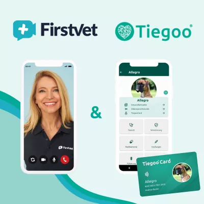 Bild: Tiegoo kooperiert mit der weltweit ersten digitalen Tierklinik