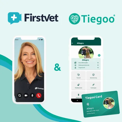Tiegoo kooperiert mit der weltweit ersten digitalen Tierklinik Bild: Tiegoo kooperiert mit der weltweit ersten digitalen Tierklinik