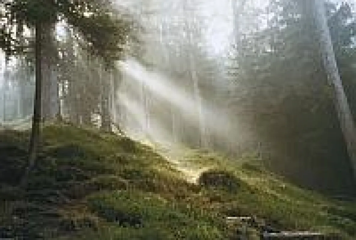 Wandern im Bayerischen Wald