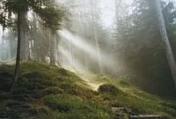 Bild: 1000 Jahre Goldener Steig