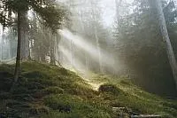 Bild: 1000 Jahre Goldener Steig