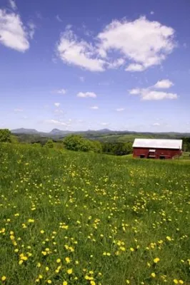 Der Weg ist das Ziel Bild: Der Weg ist das Ziel