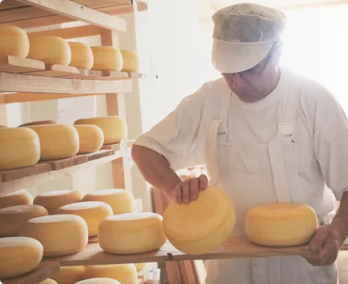 Bild: Käse, Speck und Delikatessen direkt aus Tirol online kaufen