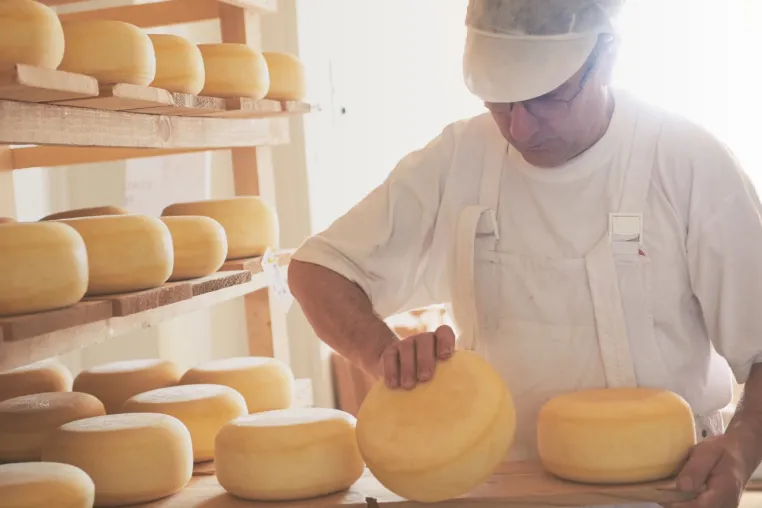 Käse, Speck und Delikatessen direkt aus Tirol online kaufen Bild: Käse, Speck und Delikatessen direkt aus Tirol online kaufen