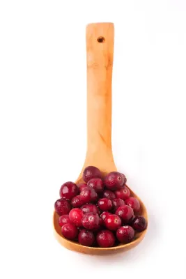 Bild: Cranberries unterstutzen wichtiges Darmbakterium „Akkermansia muciniphila“