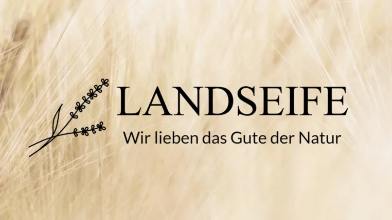 Startup: Endlich nachhaltig und vegan Haut & Haare waschen & pflegen - mit handgefertigten Bio Naturseifen Bild: Startup: Endlich nachhaltig und vegan Haut & Haare waschen & pflegen - mit handgefertigten Bio Naturseifen