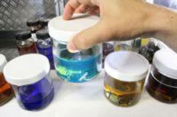 Bild: Unverwüstlich: Komponenten von Stauff und Voswinkel in der Landtechnik