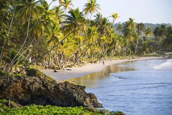 Bild: Ein Fest der Sinne und Kulturen - Weihnachten auf Tobago fasziniert mit Maracas und Black Cake