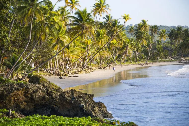 Bild: Ein Fest der Sinne und Kulturen - Weihnachten auf Tobago fasziniert mit Maracas und Black Cake