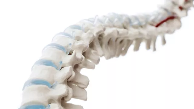 Bild: Dr. (Boshi) of Medicine Caroline Klann (Univ. Shangdong) zur Osteopathie - Informationen zur ganzheitlichen Me
