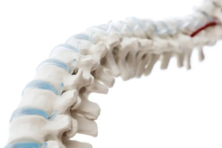 Bild: Dr. (Boshi) of Medicine Caroline Klann (Univ. Shangdong) zur Osteopathie - Informationen zur ganzheitlichen Me